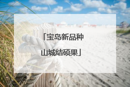 宝岛新品种 山城结硕果